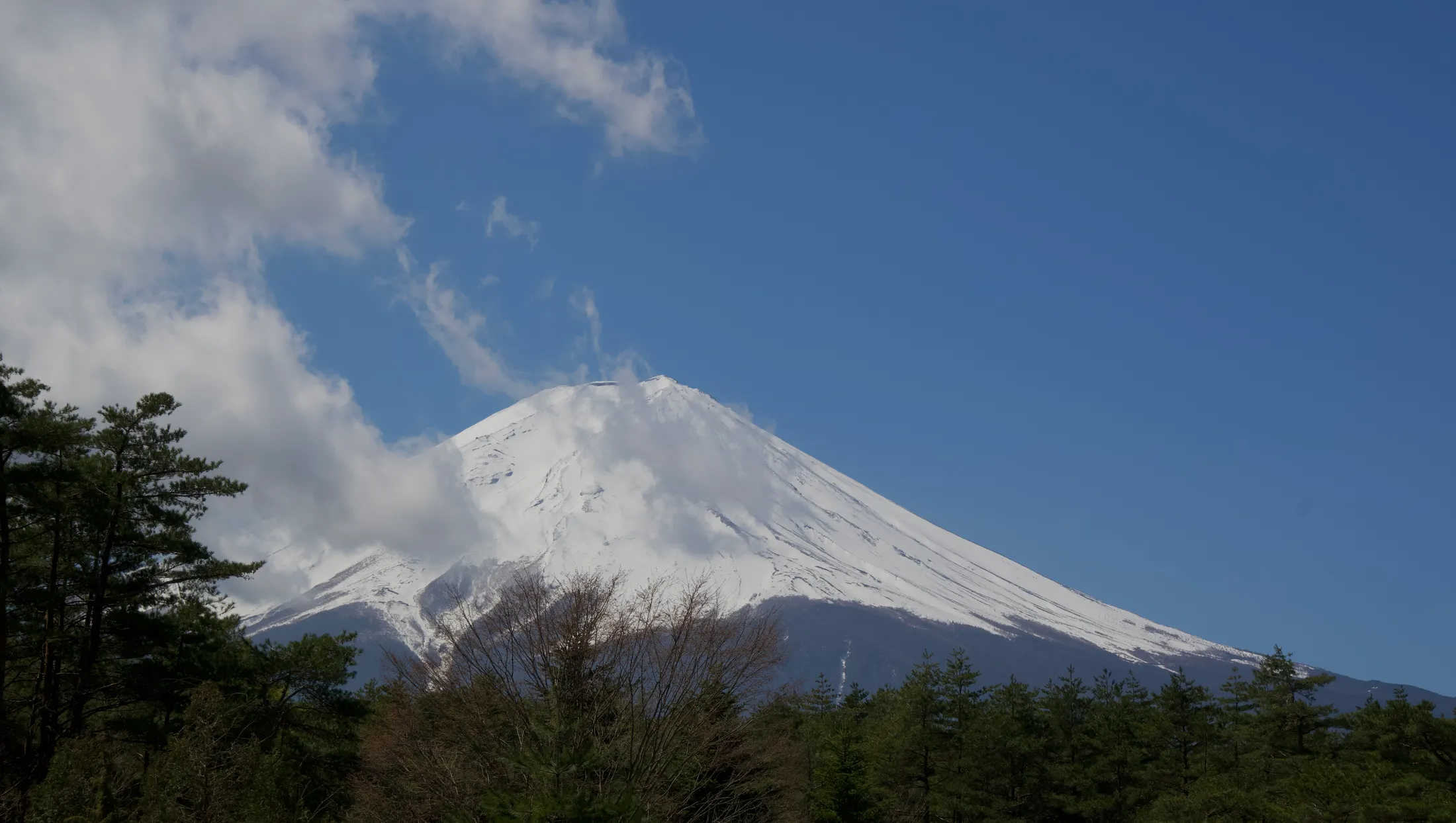 Mount Fuji