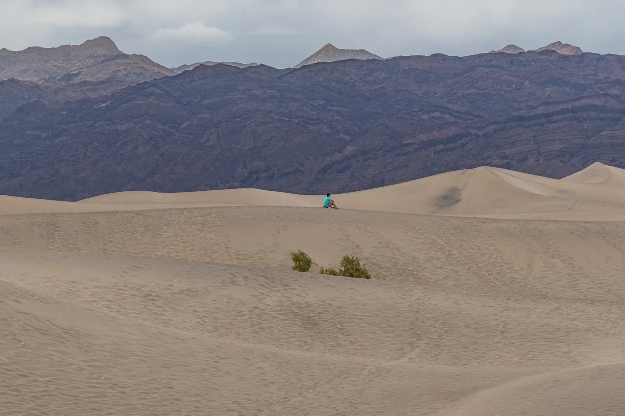Alone in the Desert