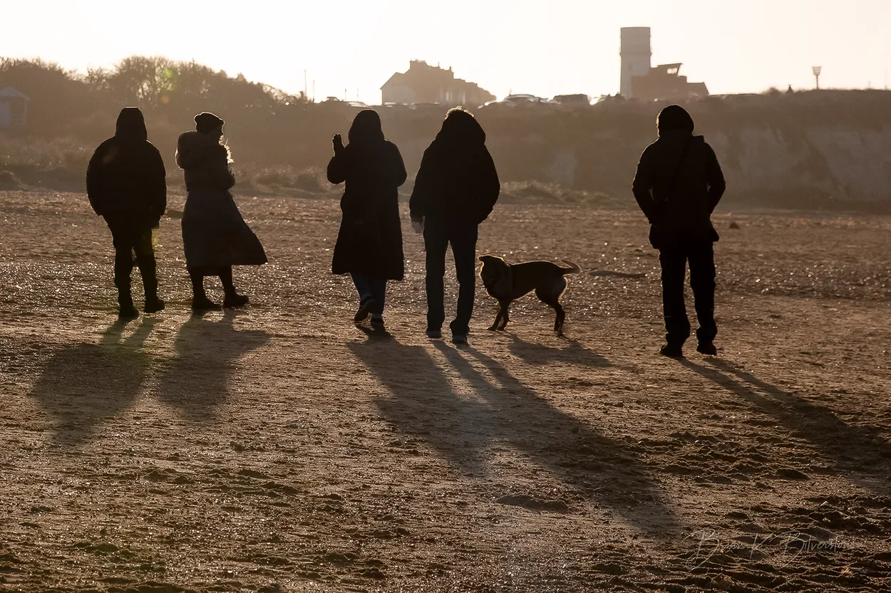 Beach Silhouettes