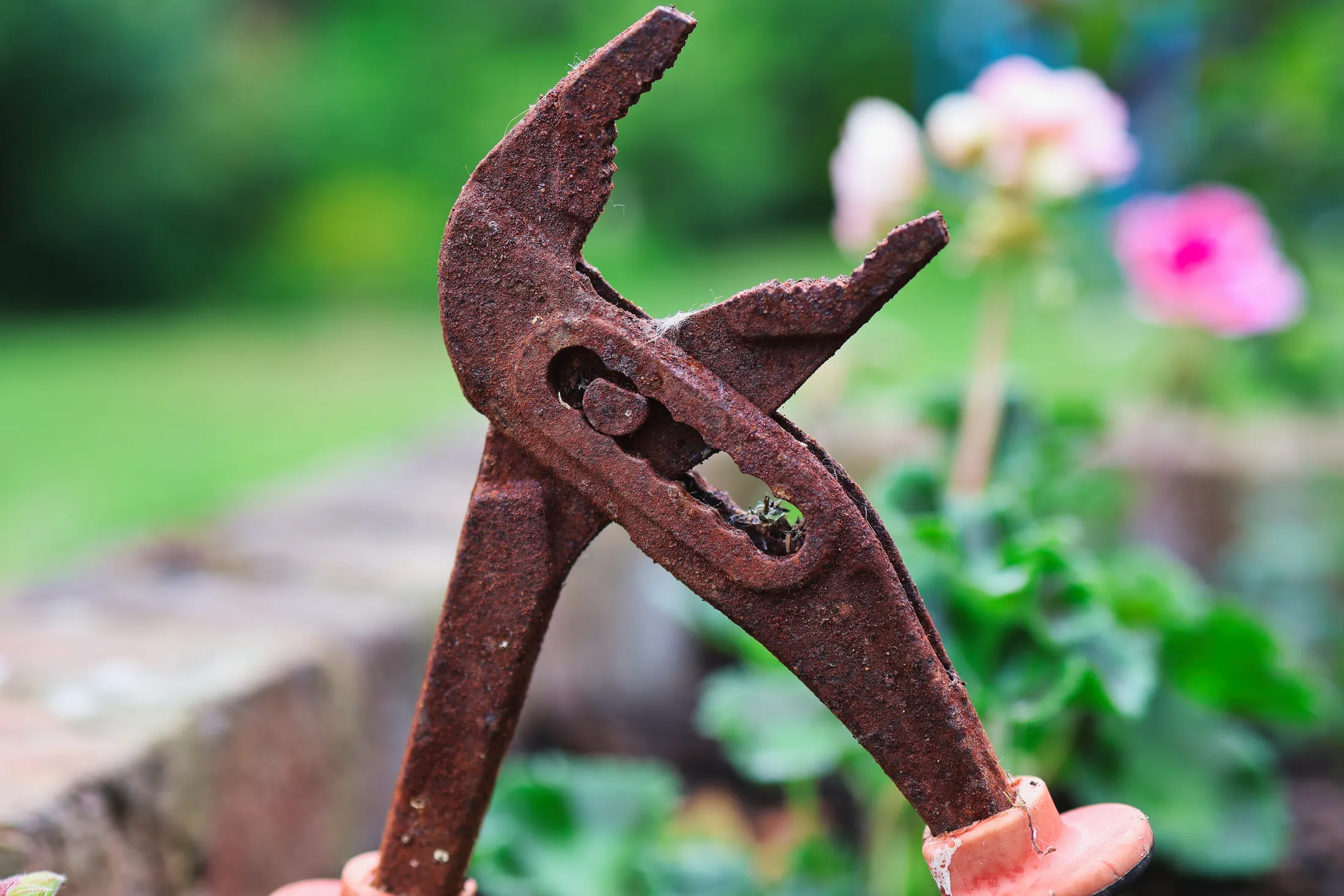 Some rusty old grips left in the garden.