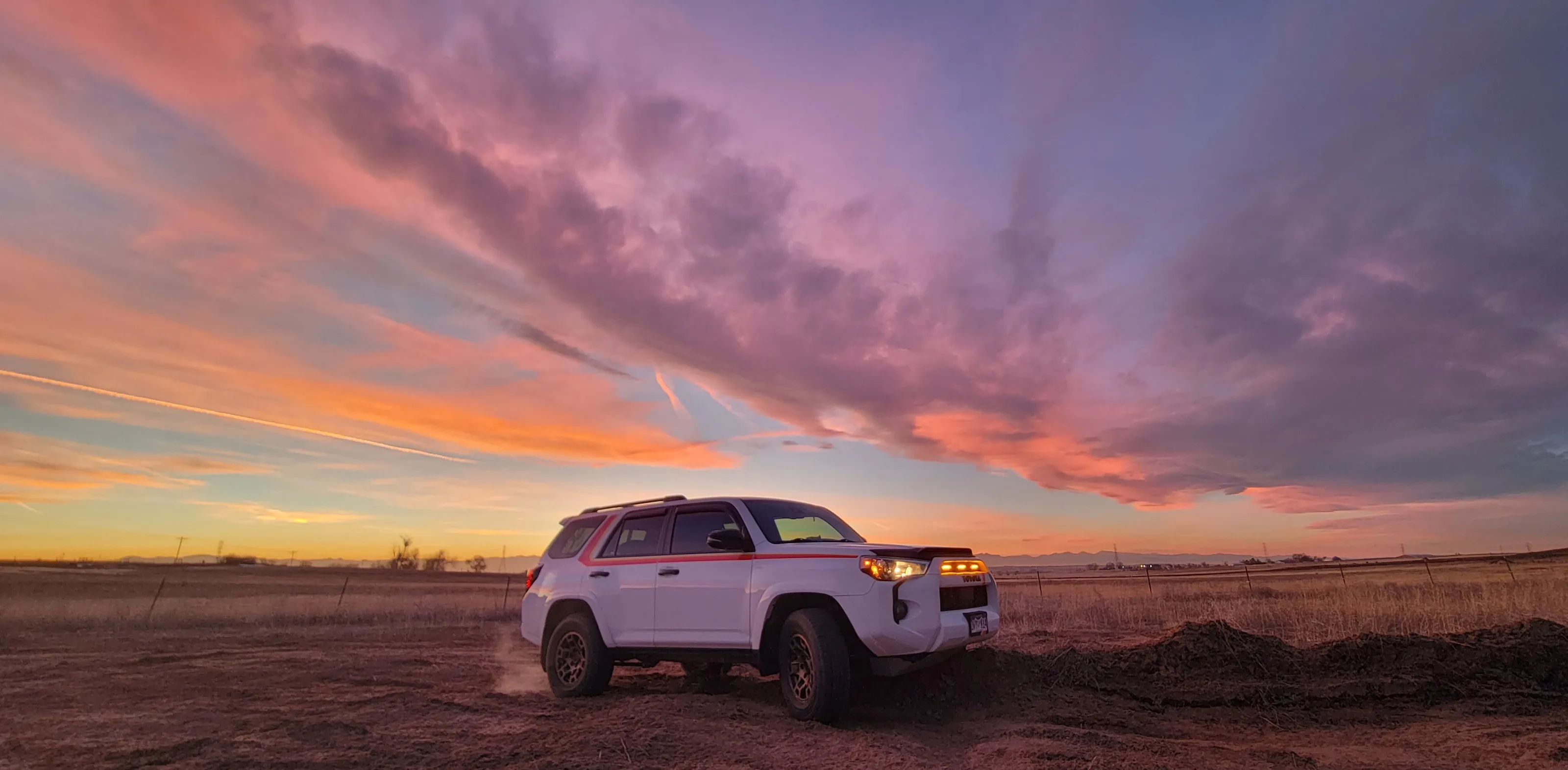 Phoenix Sky
