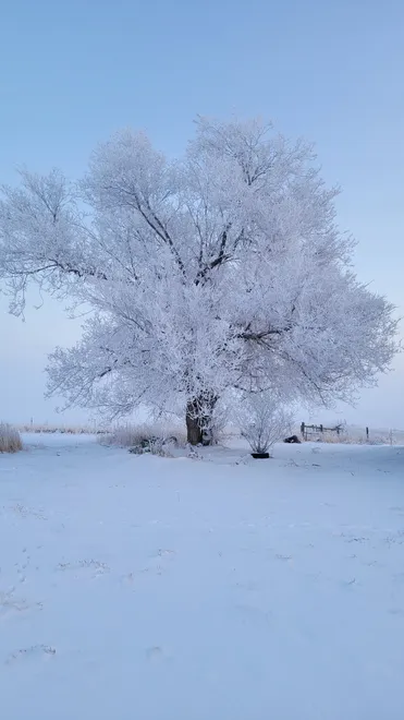 Cold
