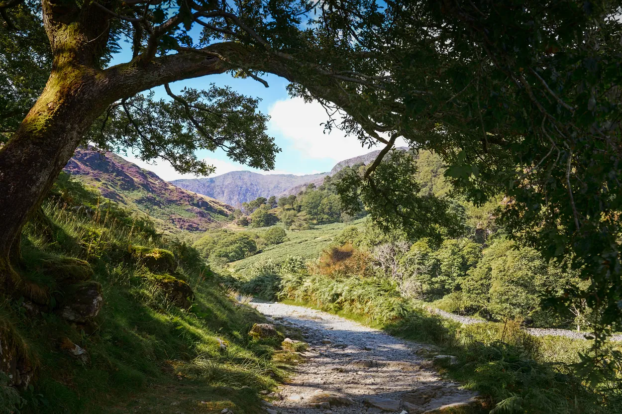 Framed by Nature | Watkin Path