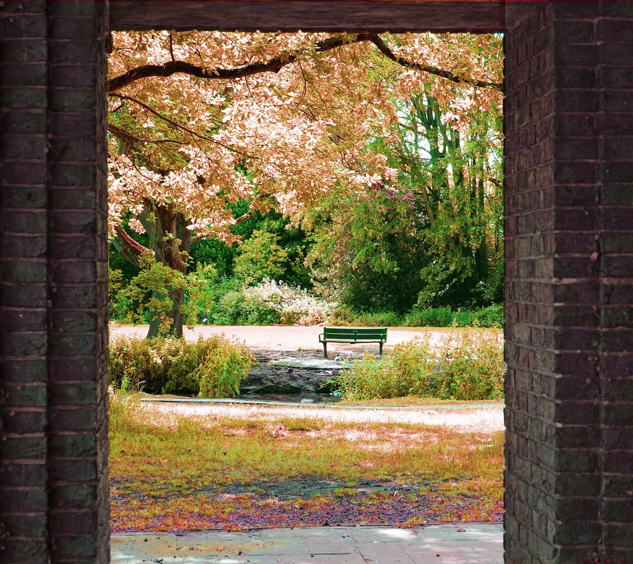 A bench through a window