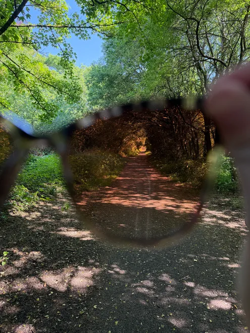 Nature through a tint