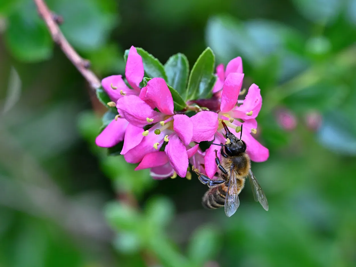 Bee mine 2nite ...