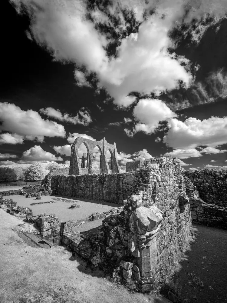 Bayham Abbey 02