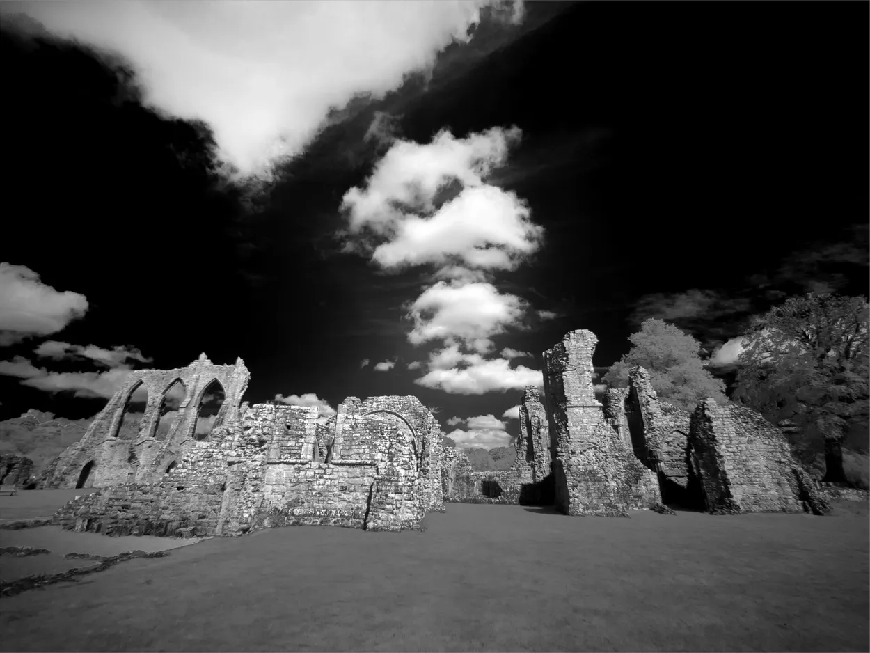 Bayham Abbey 01