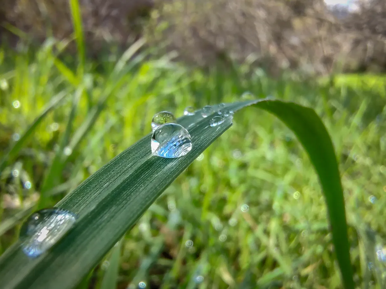 Droplet on a Blade