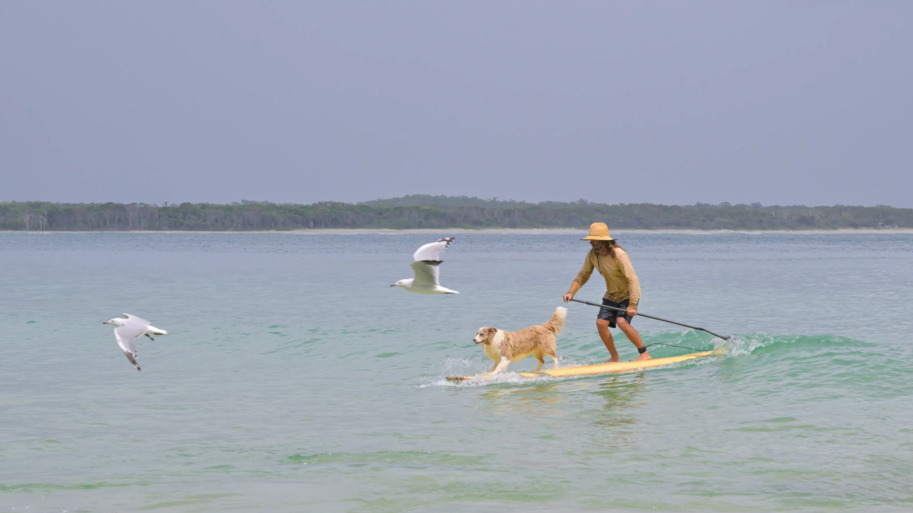 A Man and his Dog