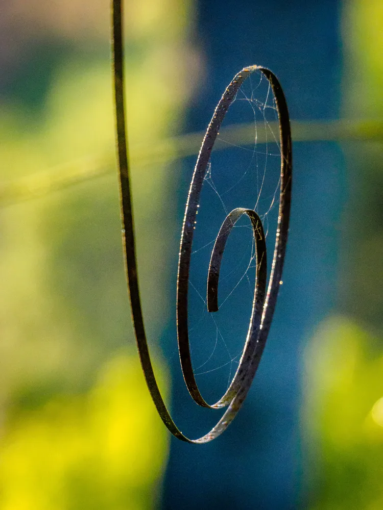 Spiral