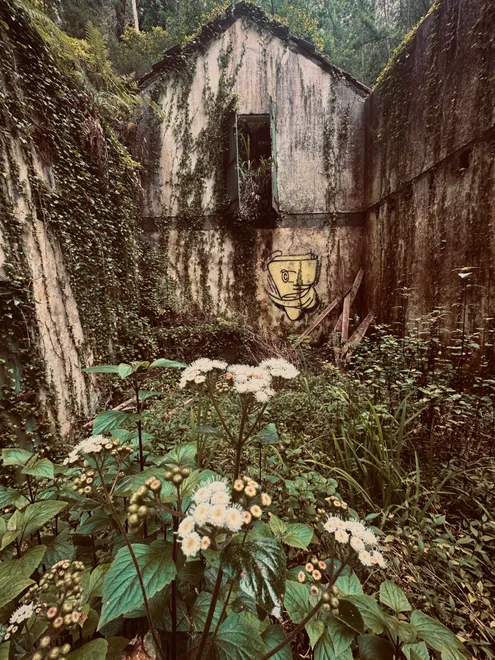 Overgrown
