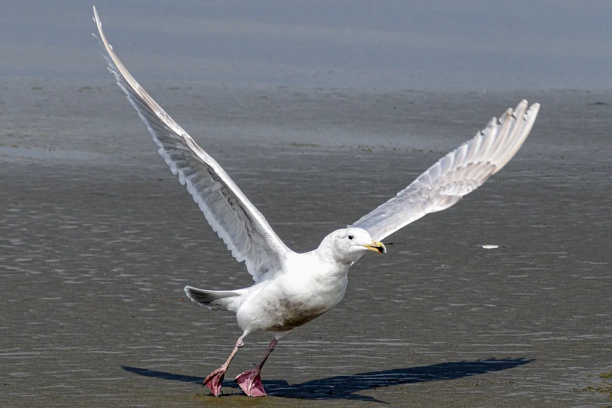 Taking Off