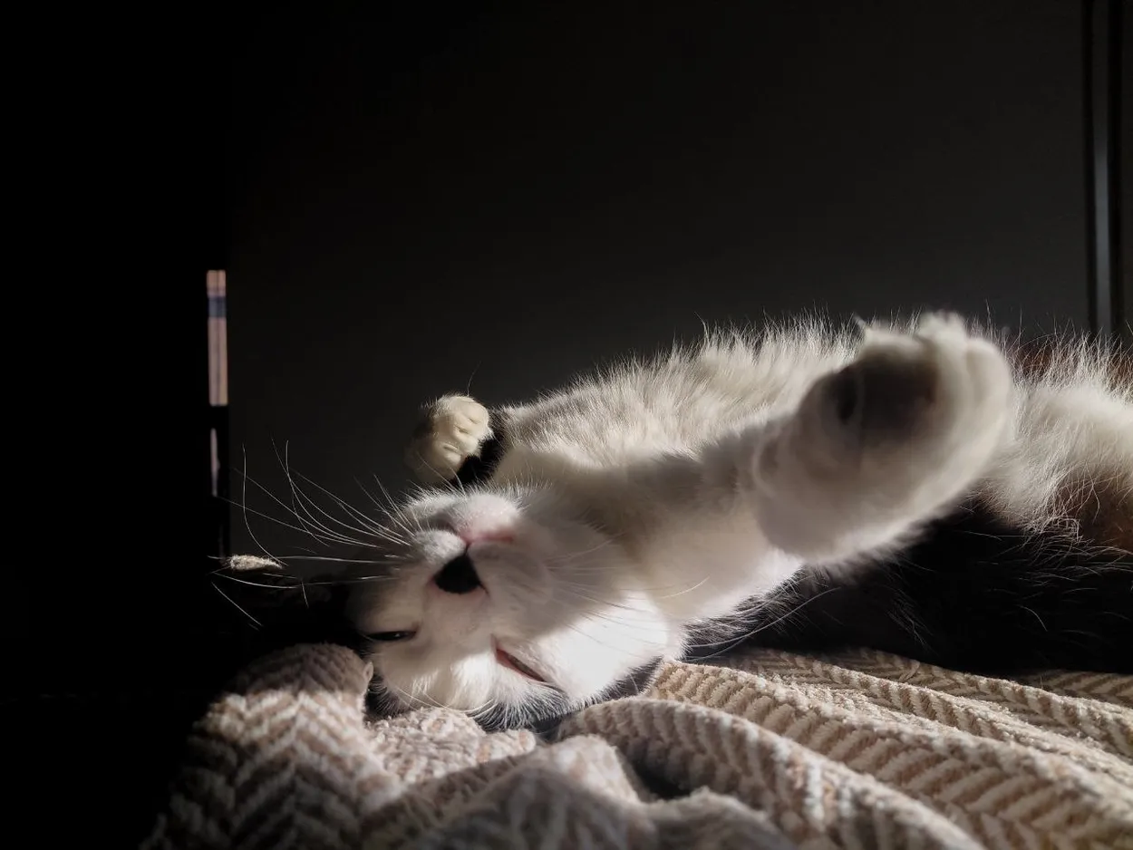 Five more minutes, please!