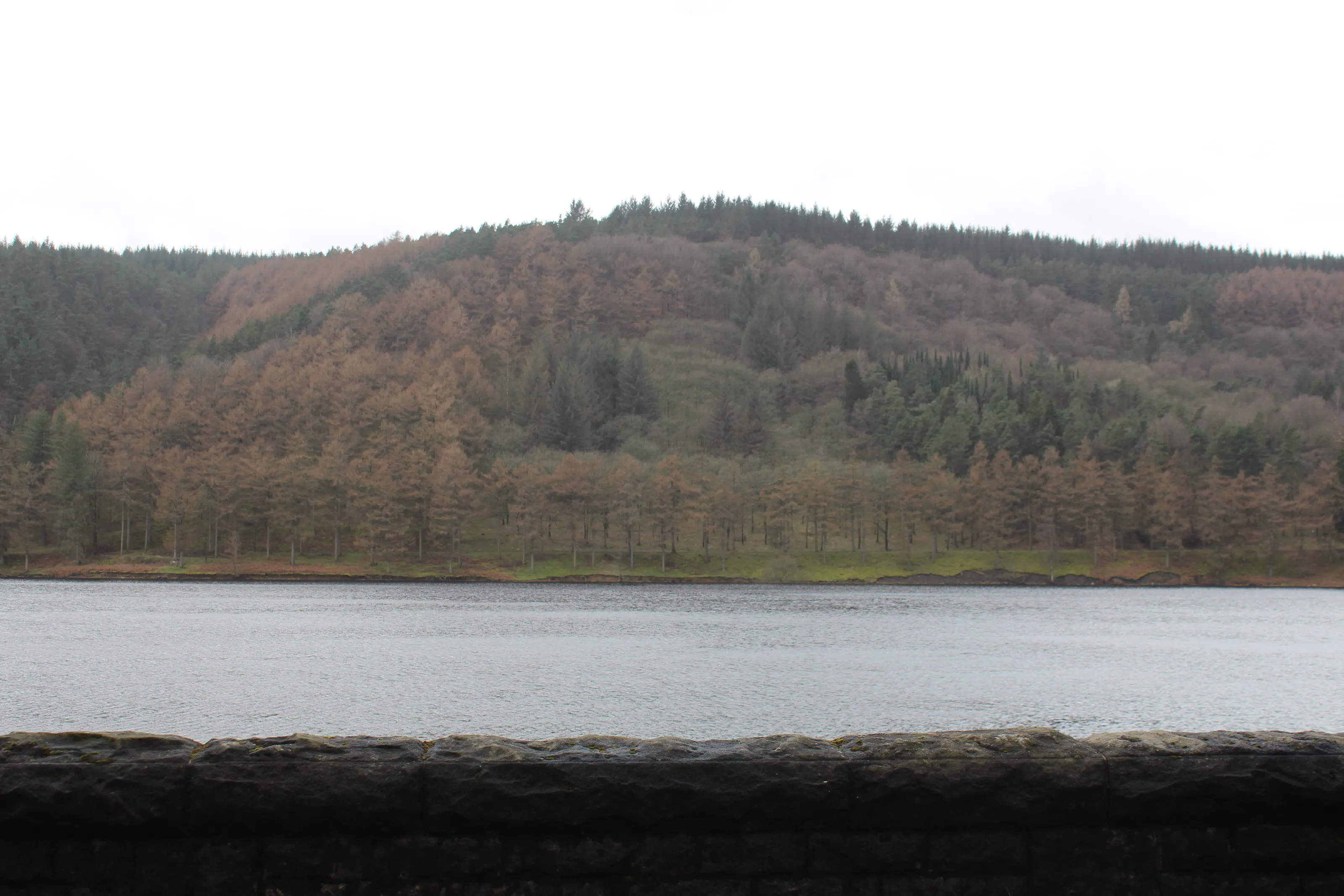 Lady Bower  Quarry