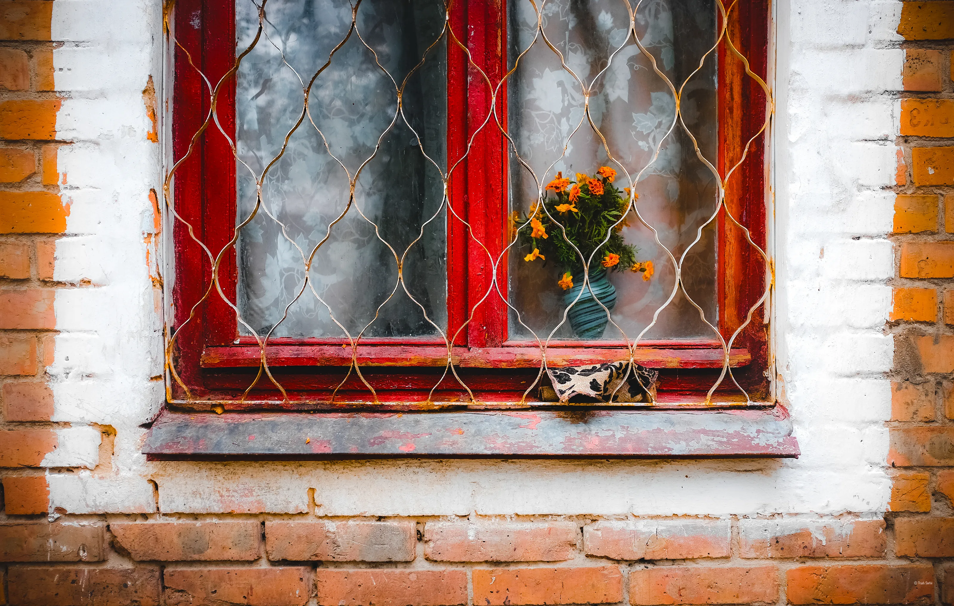 Something on a Windowsill