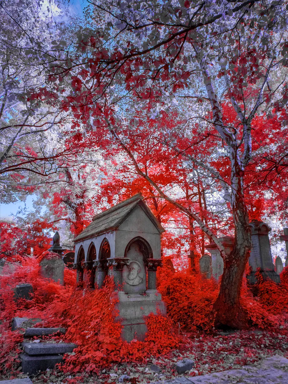 Abney Park Cemetery 01