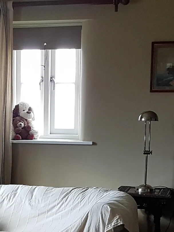 How much is that doggy in the window