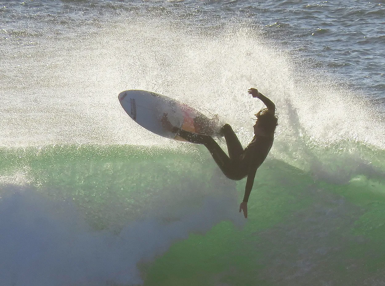 Surfer