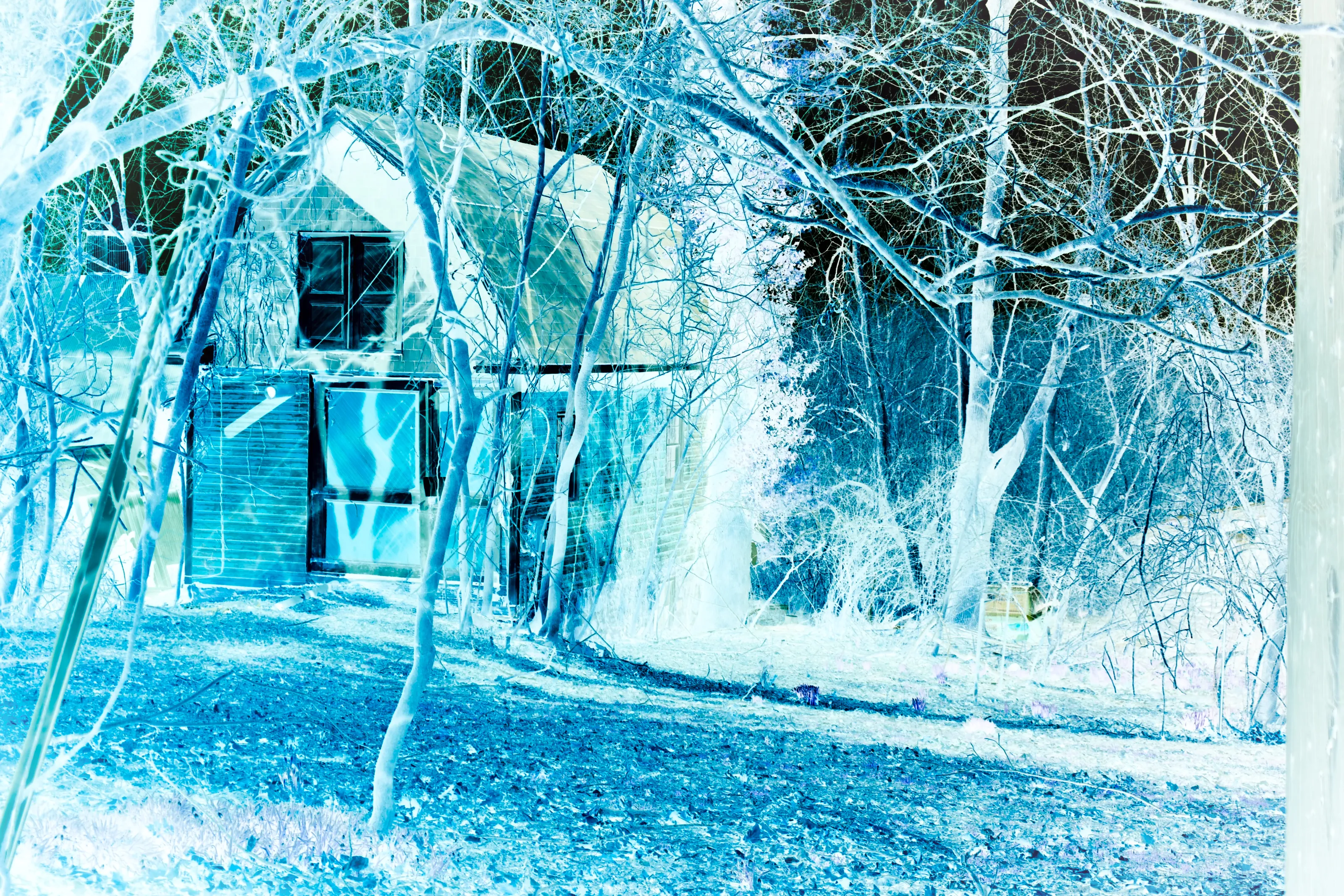 Frozen Scene