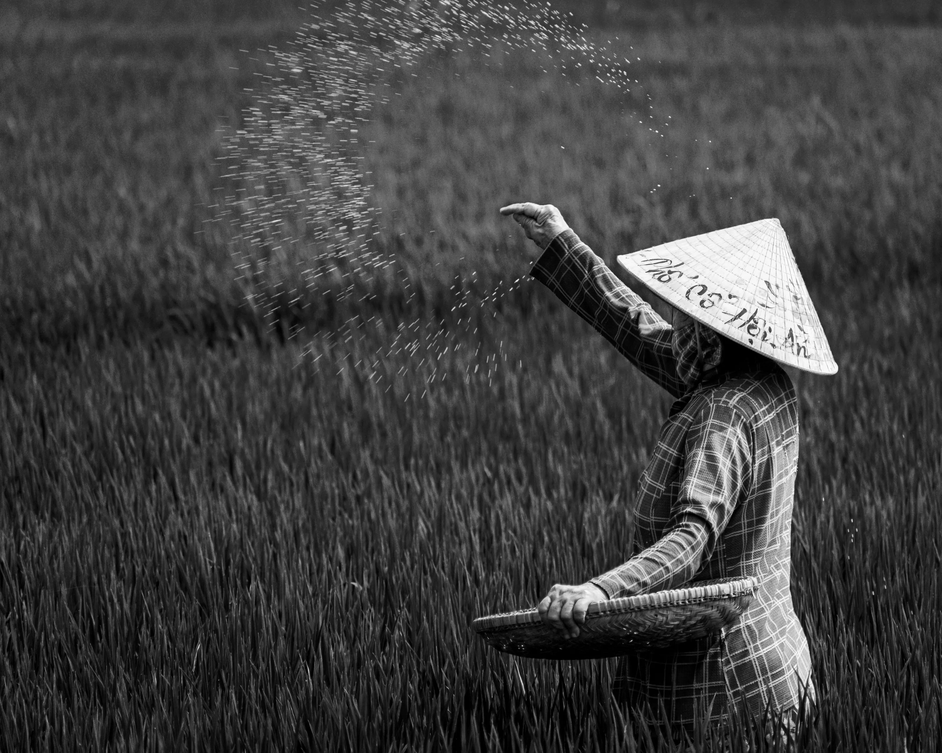 Sowing the Future