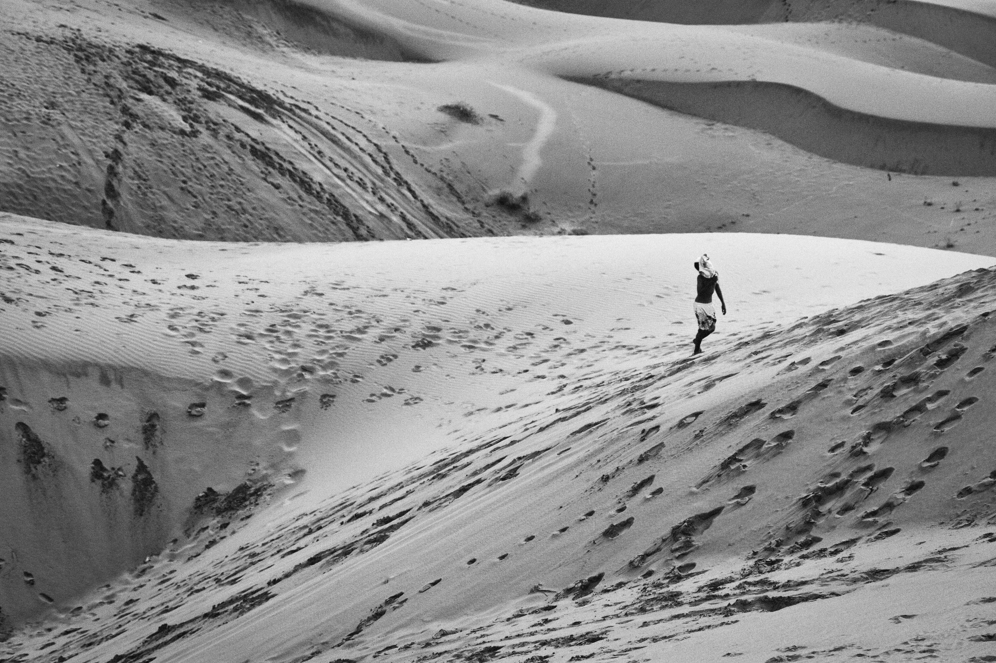 Not All Who Wander Are Lost