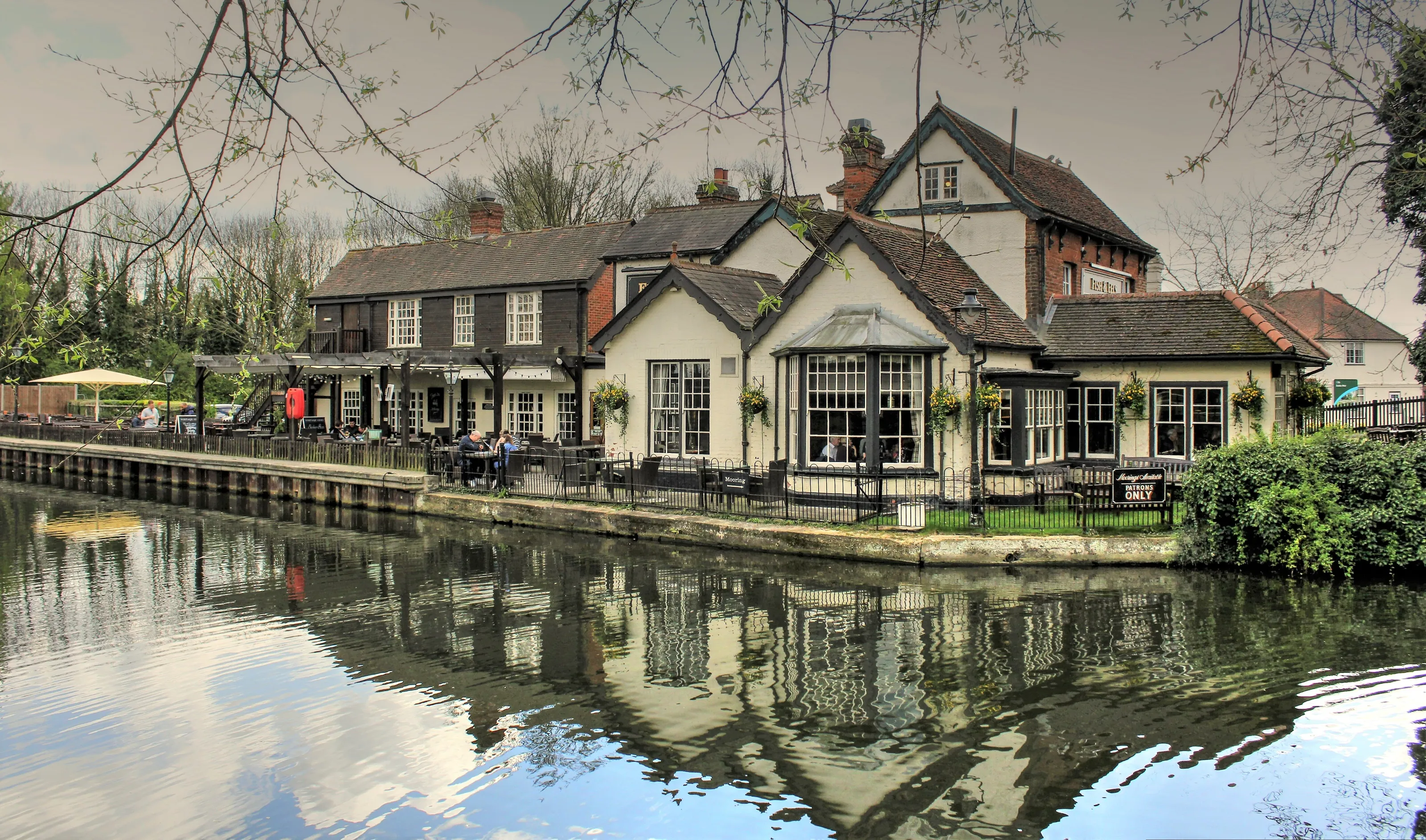 Fish and Eels pub