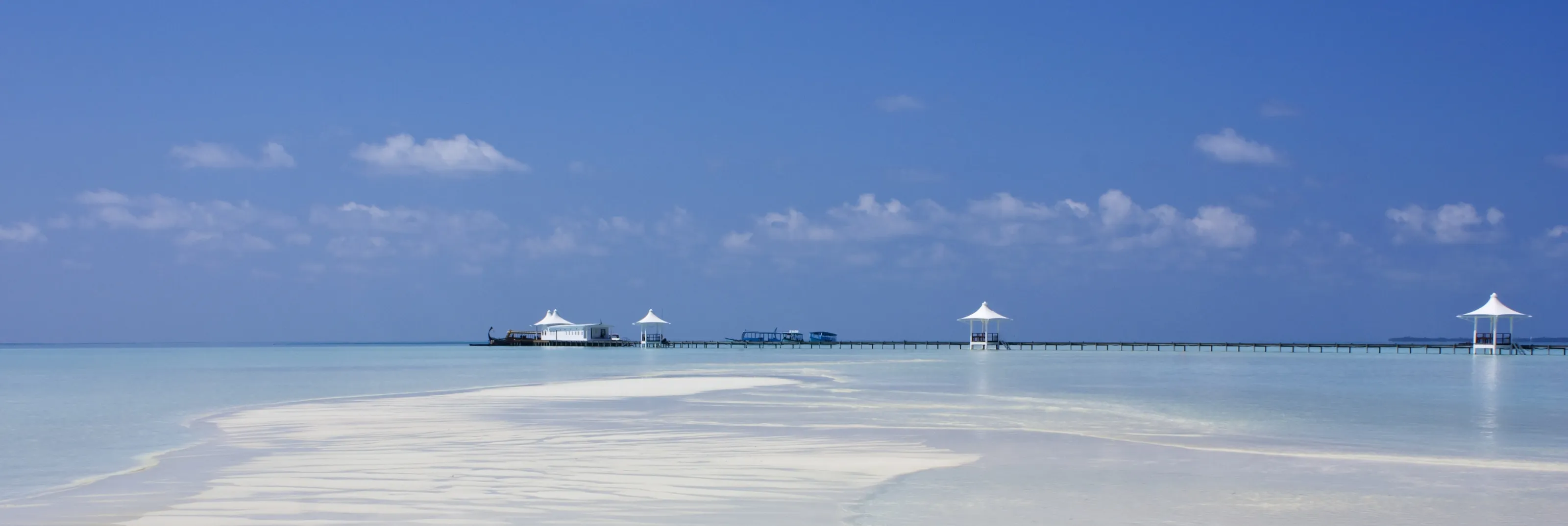 Blue Horizon