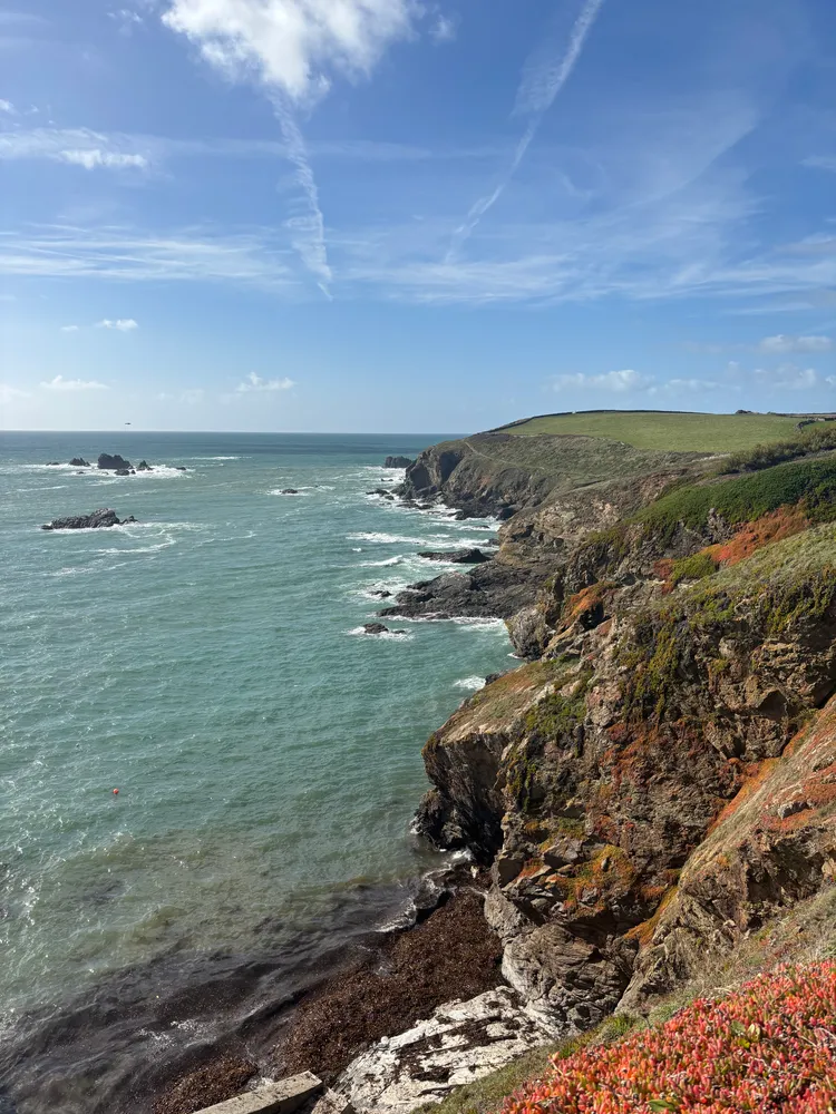 Lizard Point