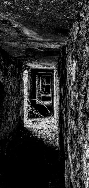 Corridor of time