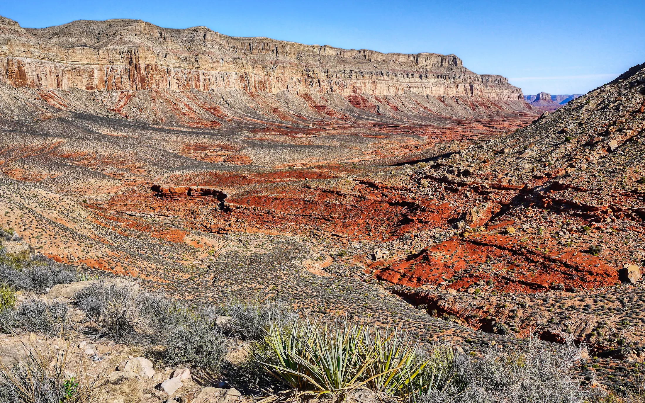 🏜️ Layers of Time – Grand Canyon 🏜️