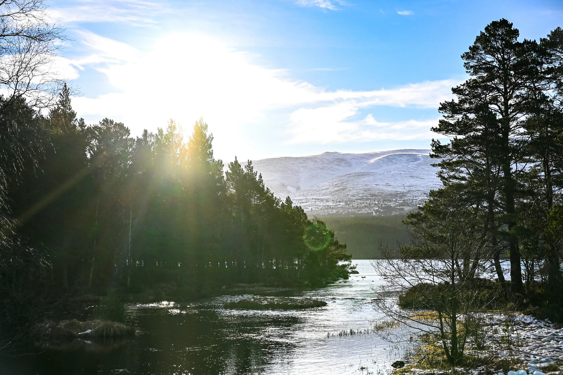 Loch Morlich