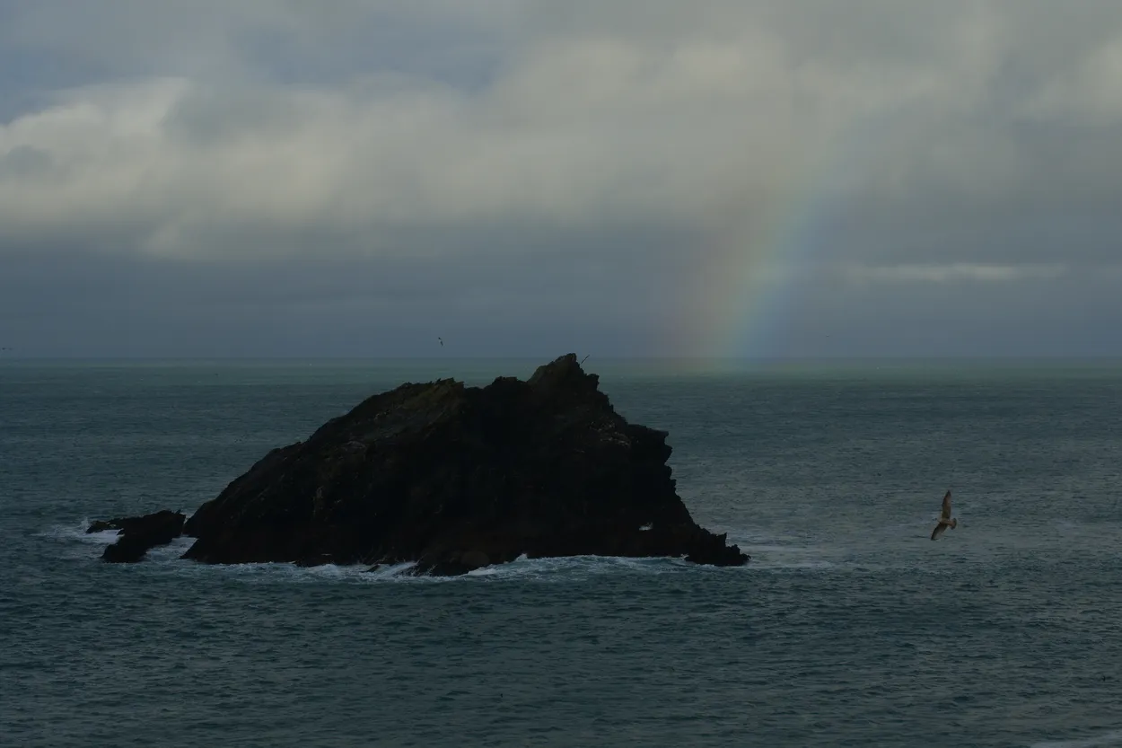 Newquay Rock