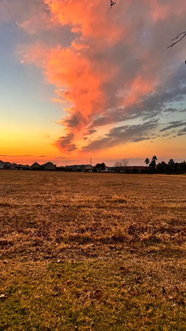 It does look like a Painting