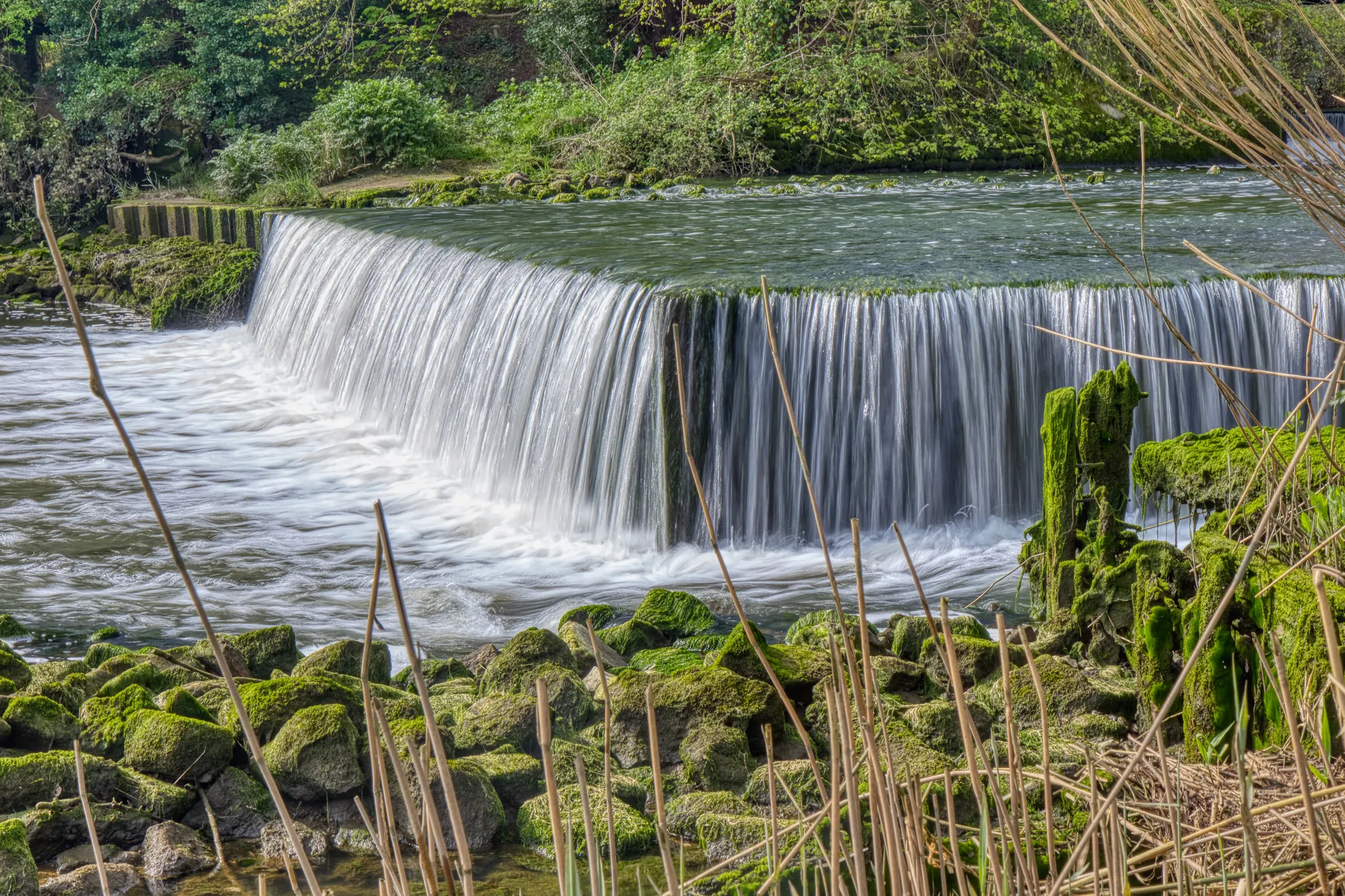 🌊 Beeleigh Falls, Maldon 🌊