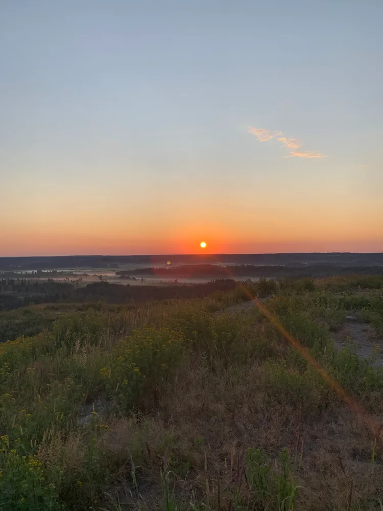 sunrise on a summer morning