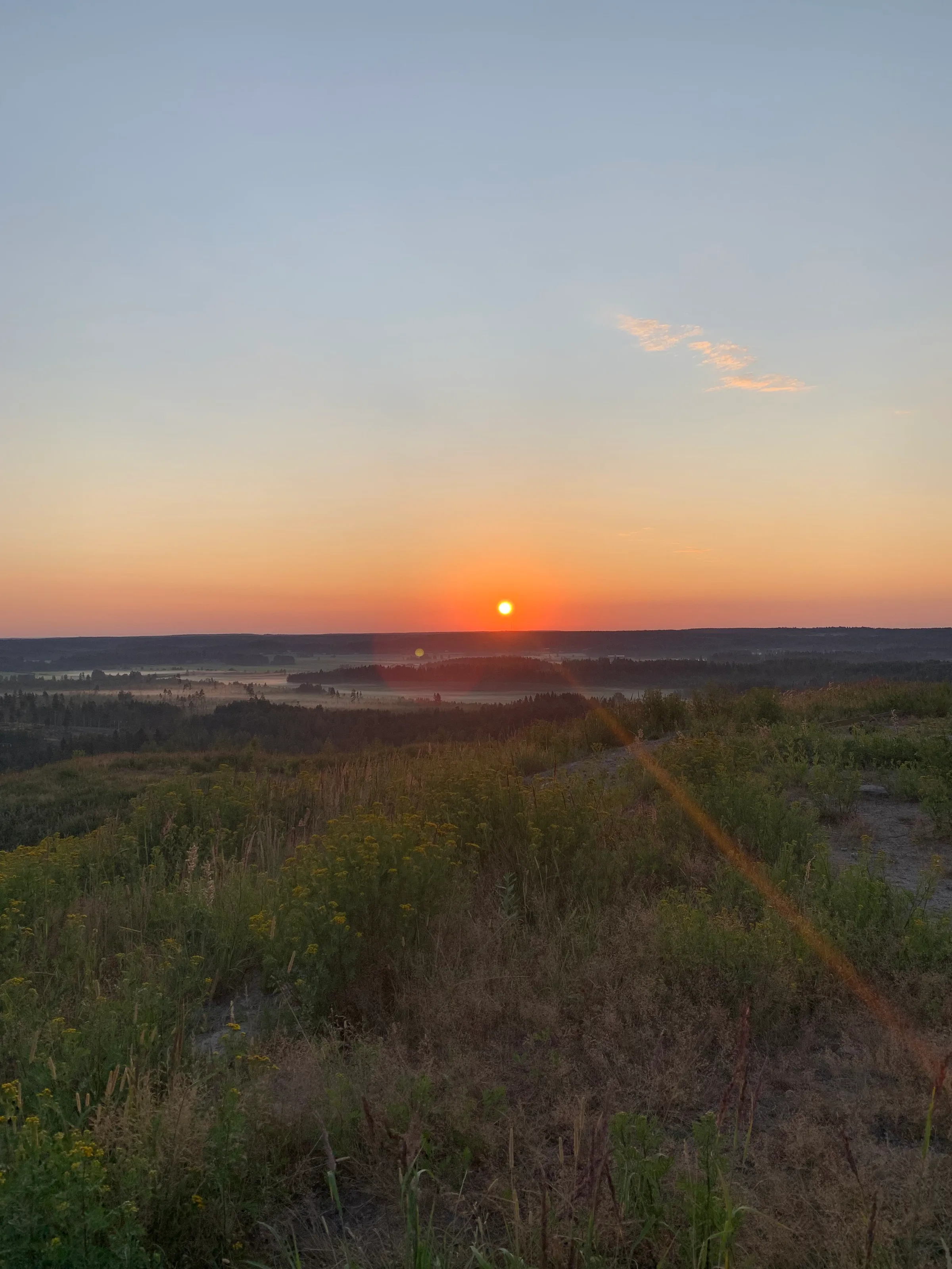 sunrise on a summer morning