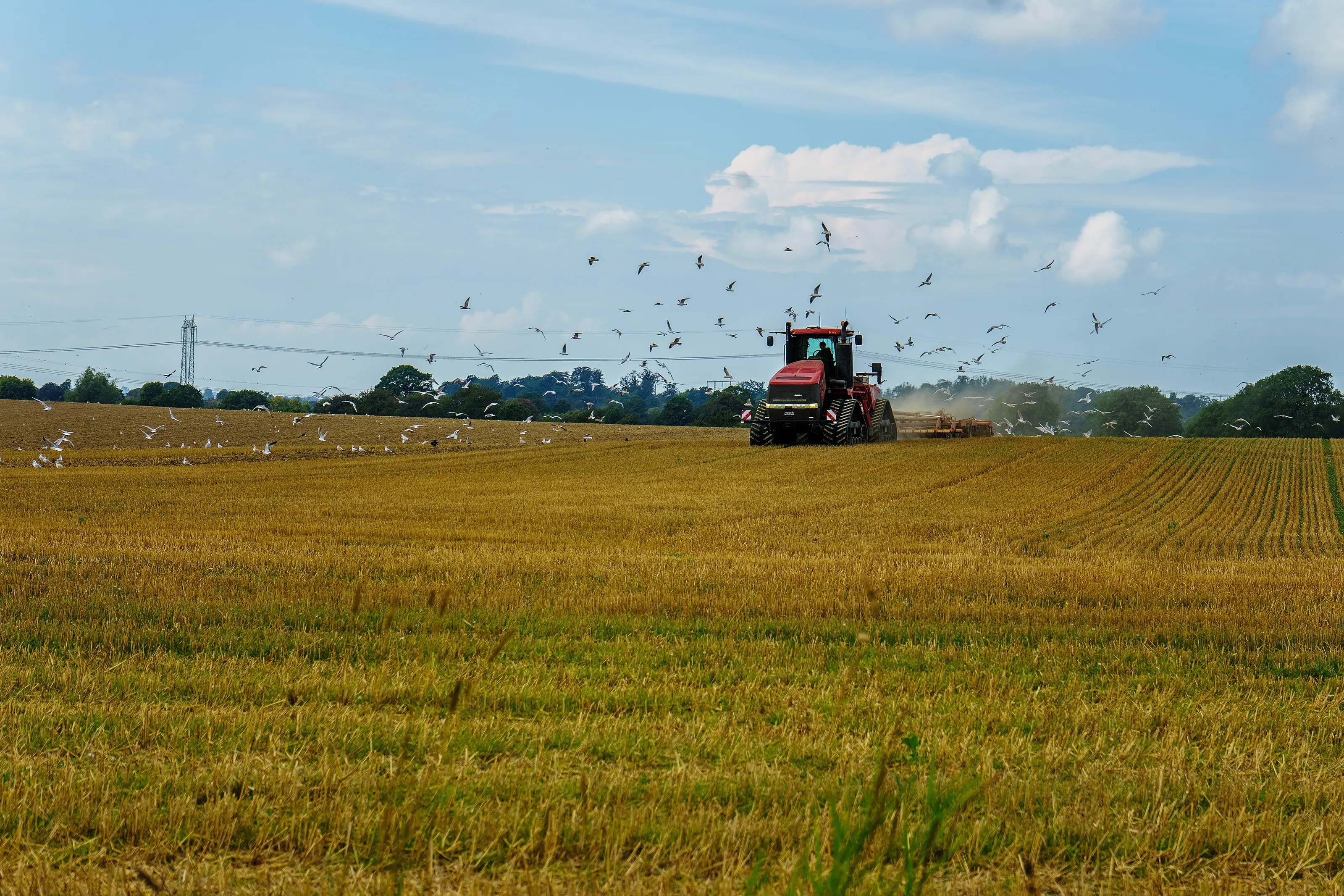 Farm Life