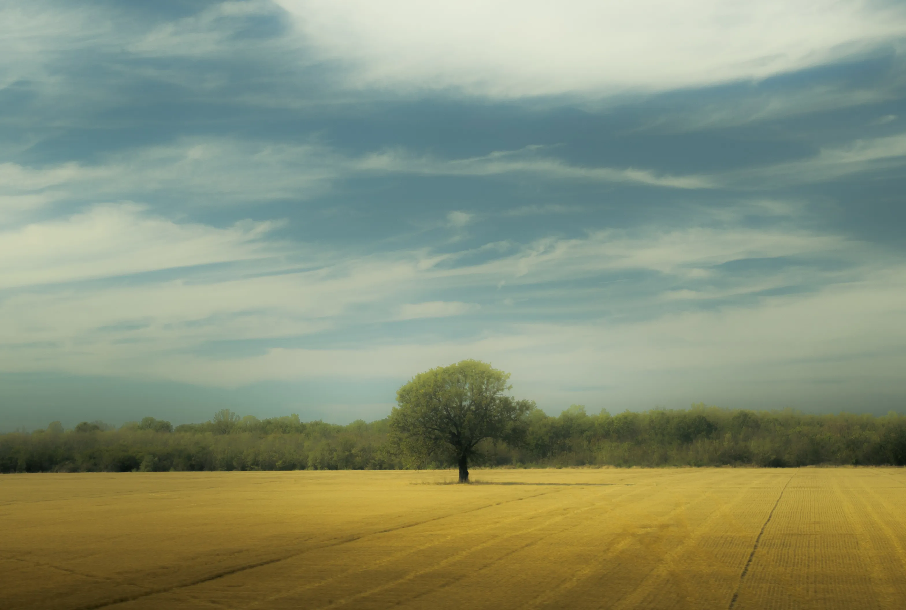 Solitude