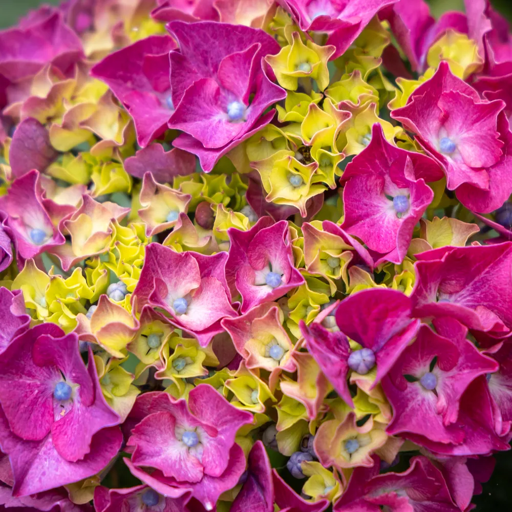 Patterns in nature - nature photo contest | Photocrowd photo ...