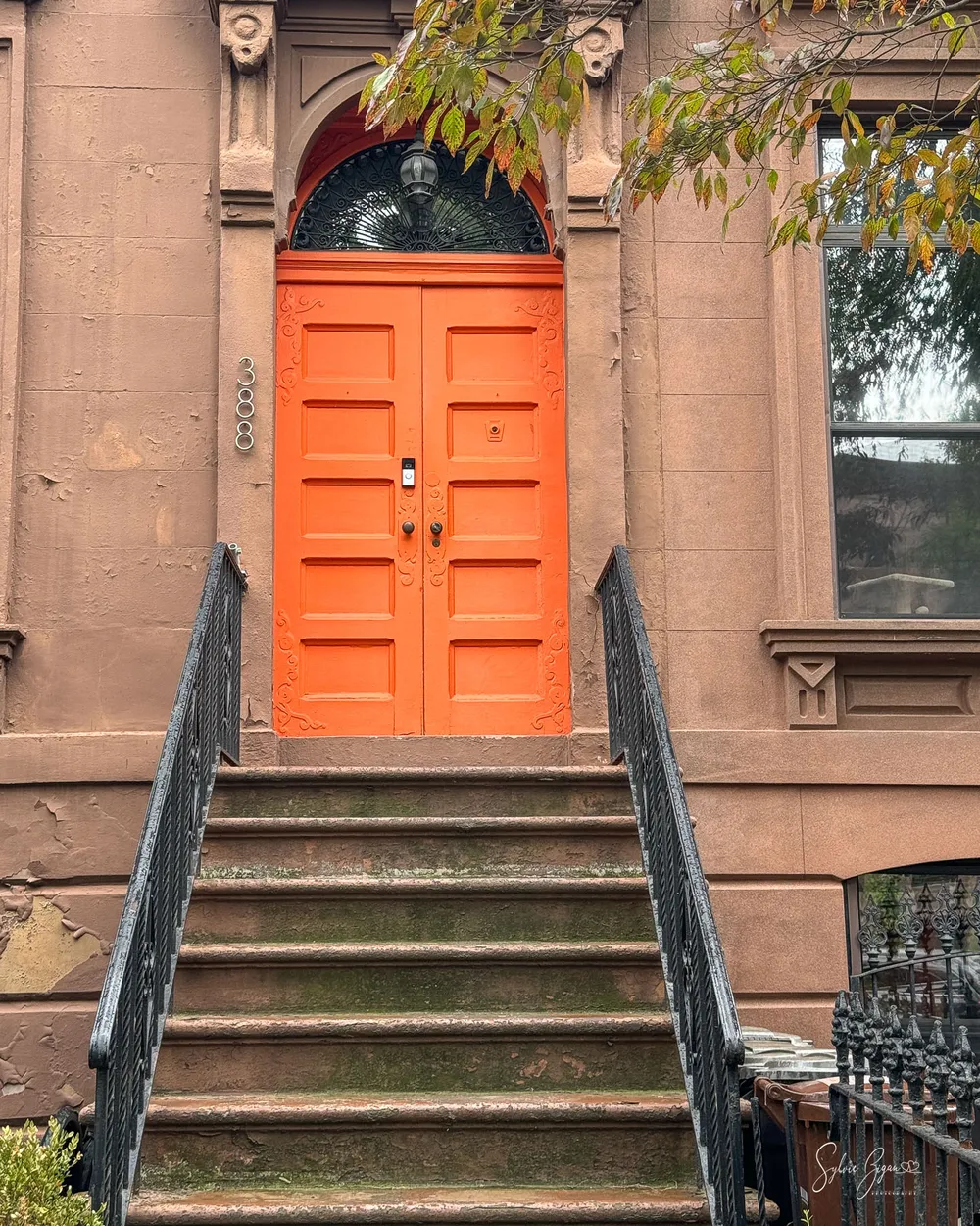 Entry 29108876