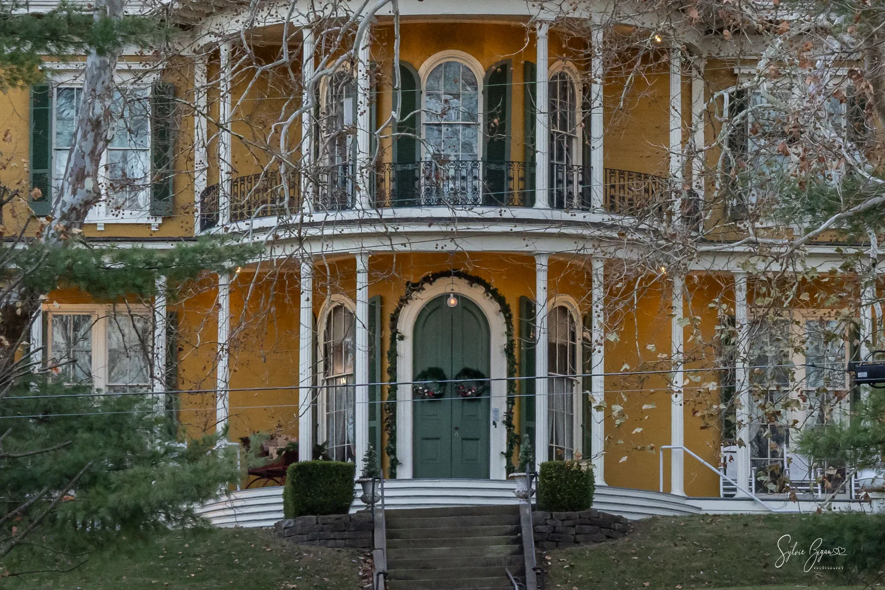 Entry 29108872