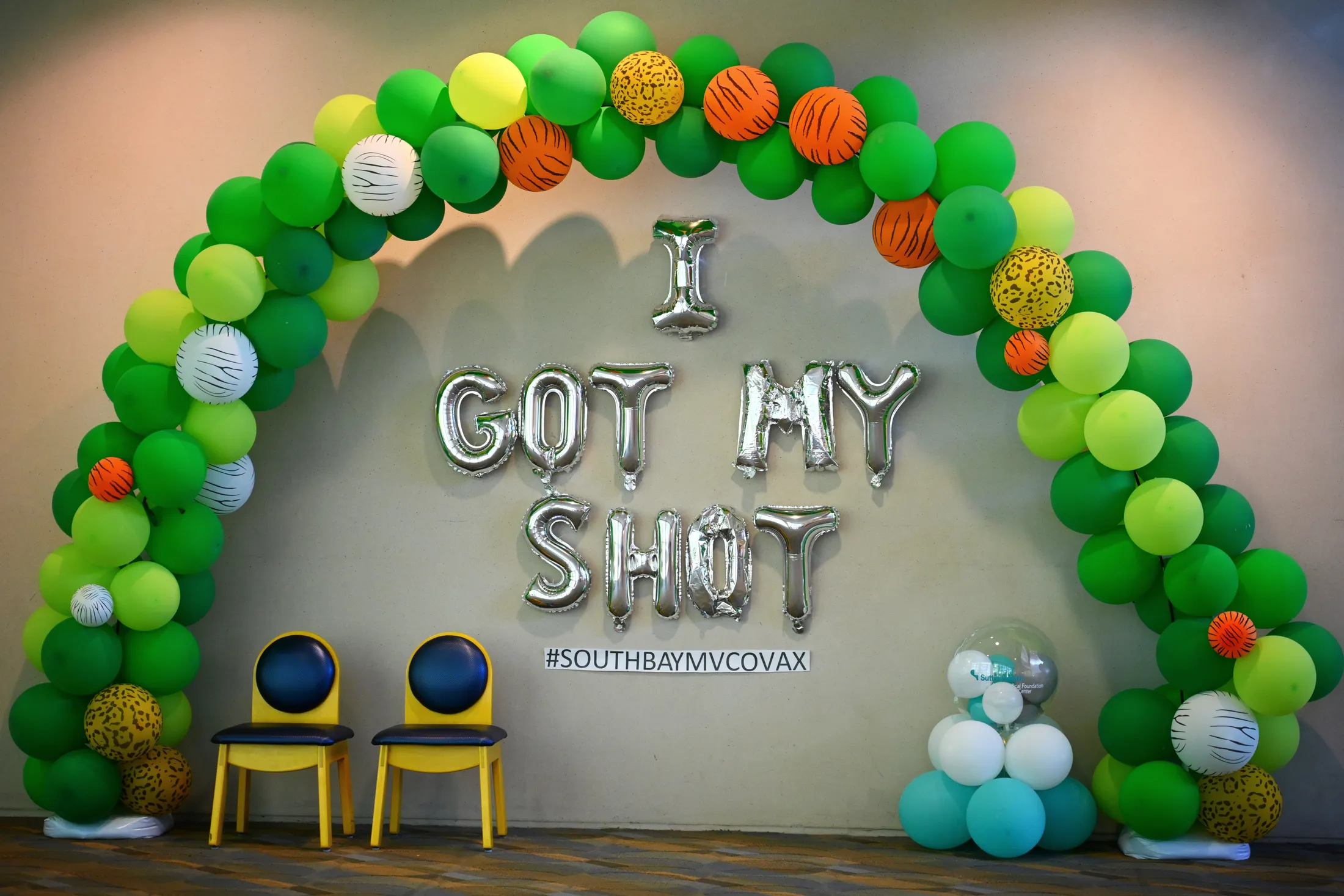 Entry 29108861