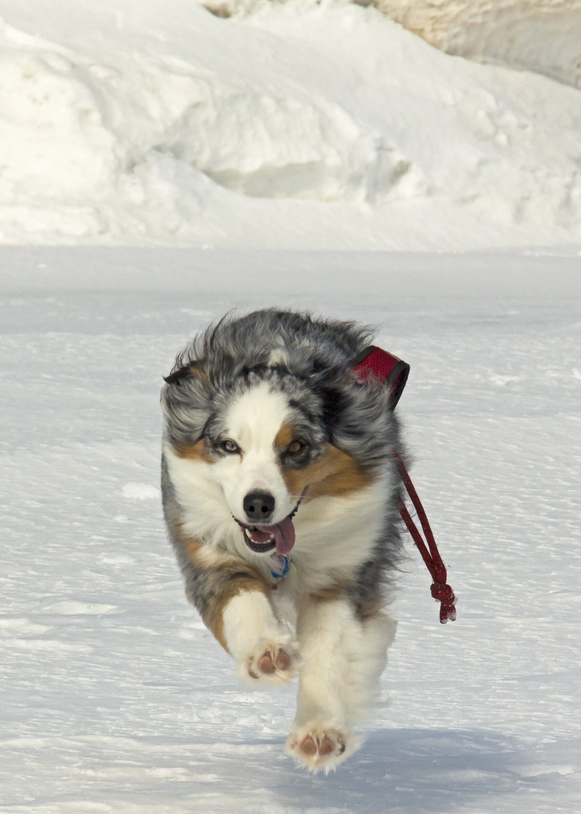 Full Speed