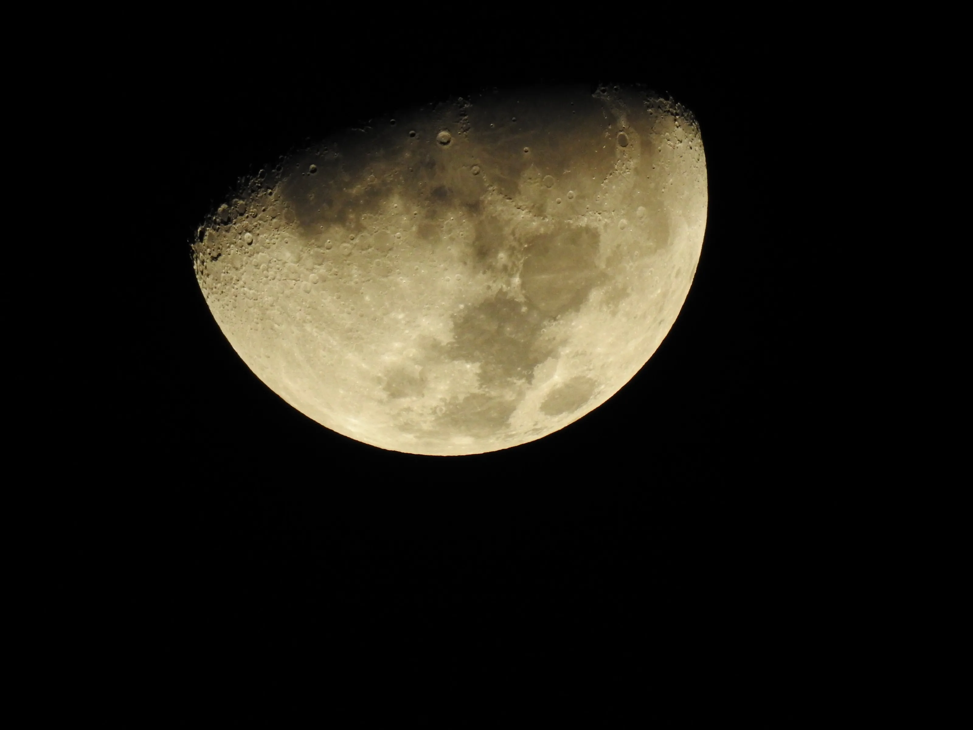 Winter Moon