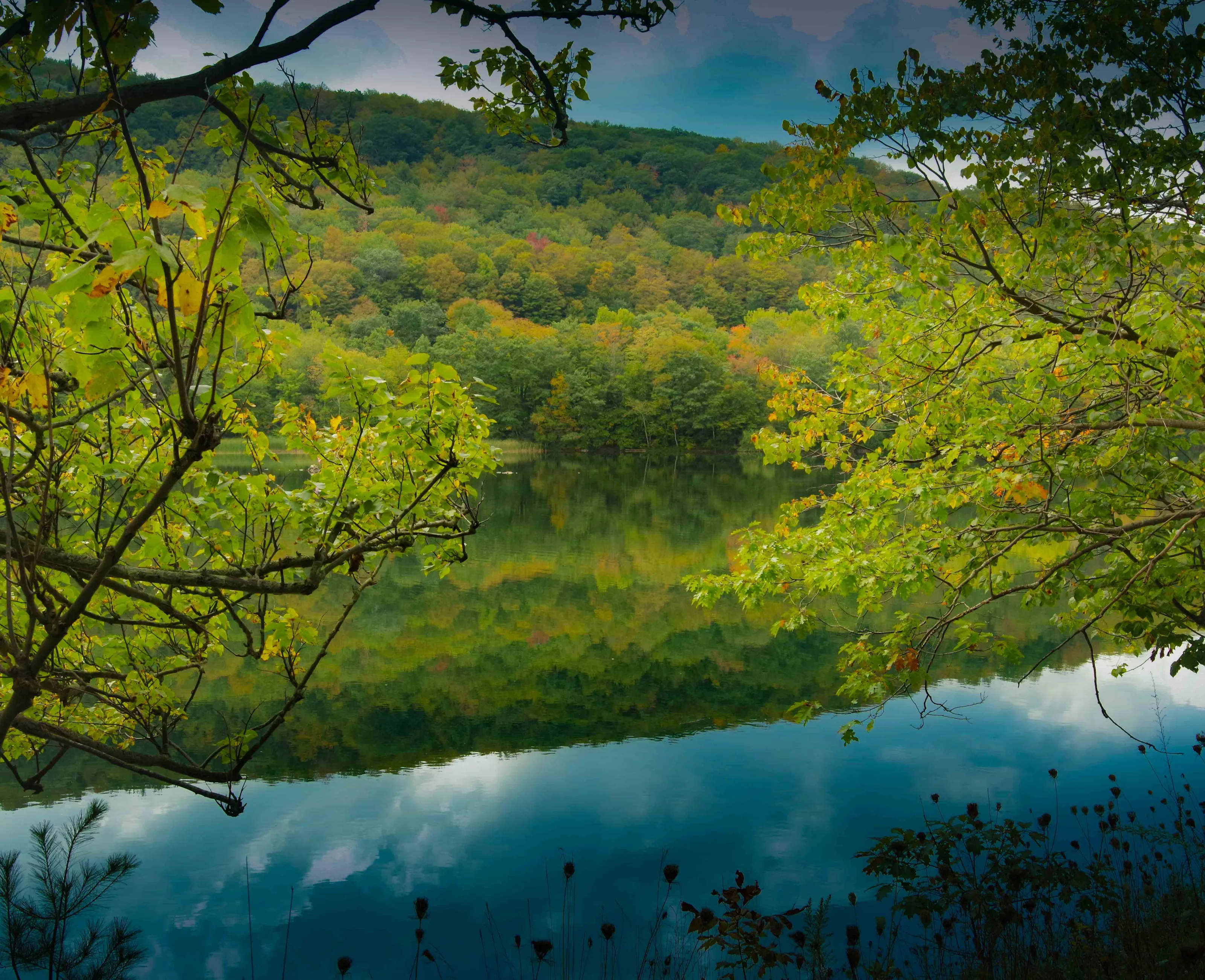 Autumn Beauty