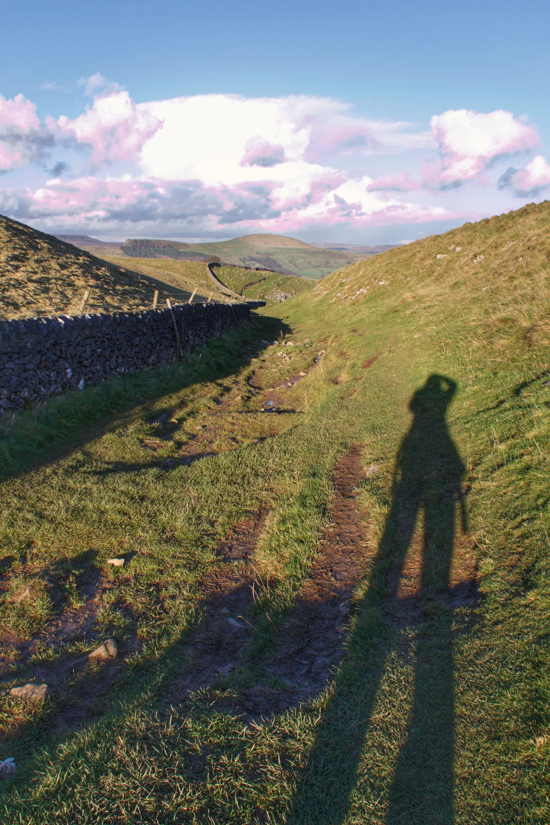Shadow Selfie