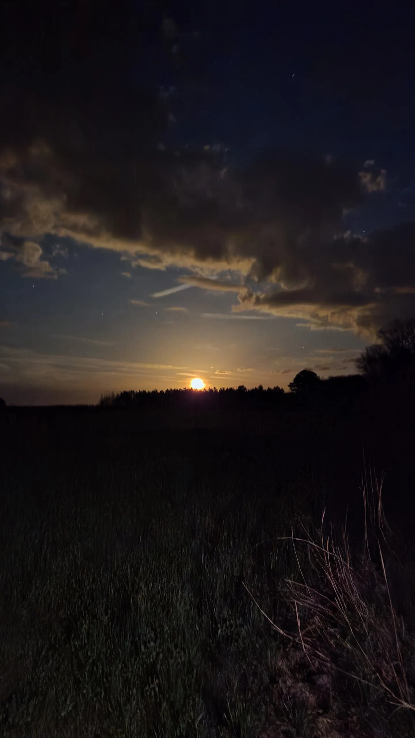 Alabama Sunset