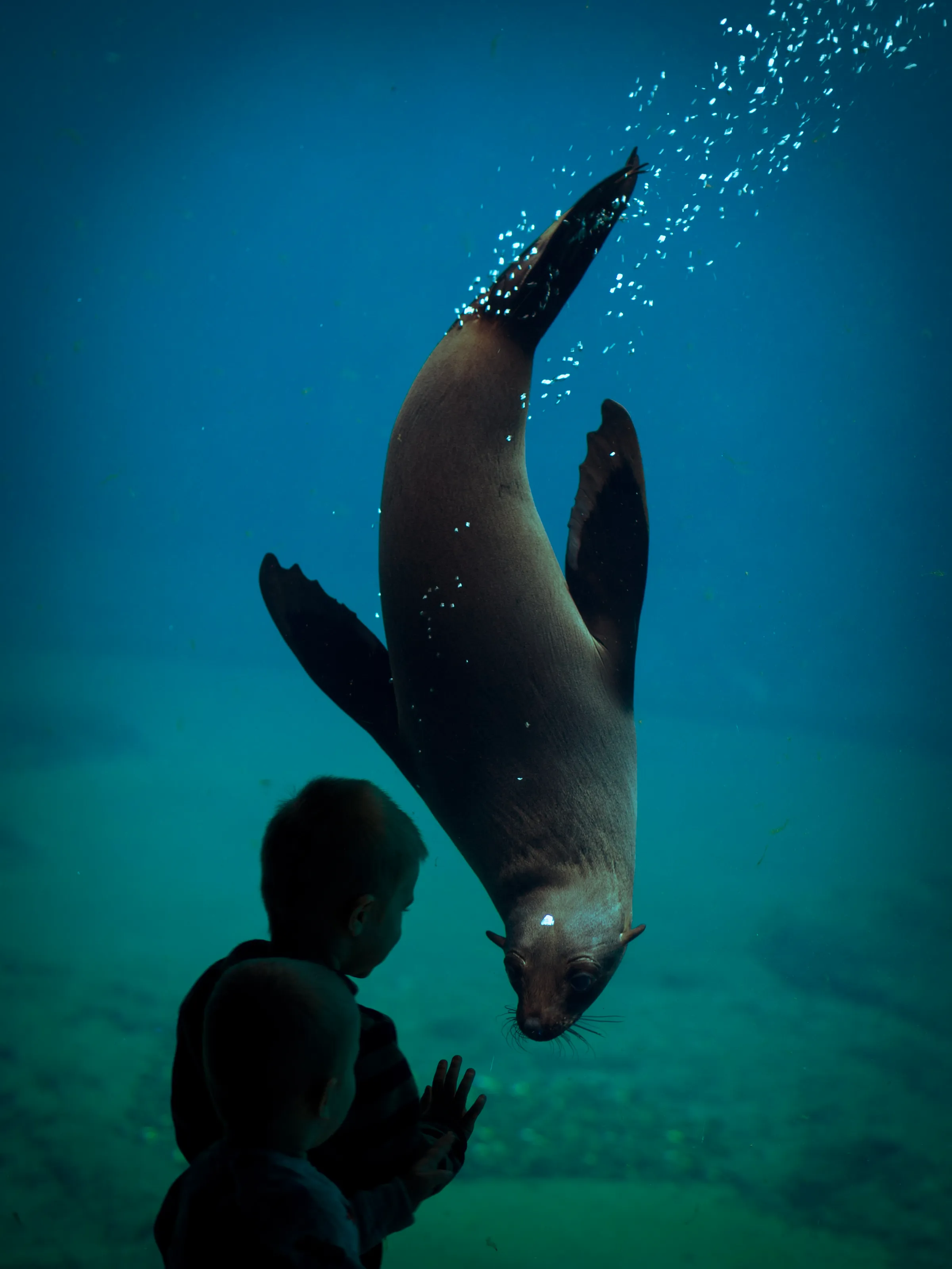 Seal moment