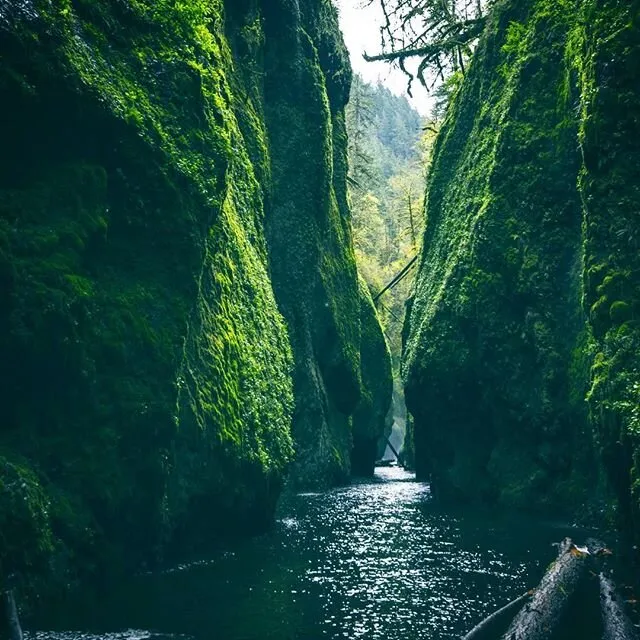 Stay Adventurous